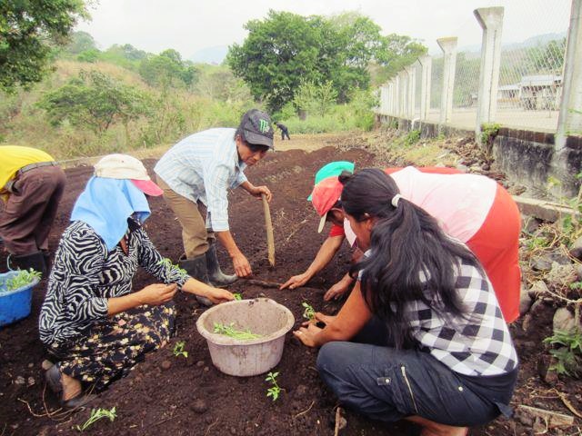 Photo 3 from Hunger Relief International